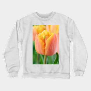 Tulipa  &#39;Freeman&#39;    Double Late Group Tulip Crewneck Sweatshirt